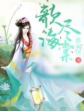 2004新澳门天天开好彩盈江黑帽seo